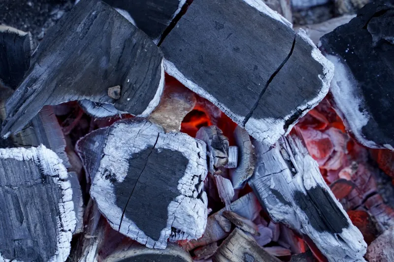 Beyond the Grill: Why the Finest American Restaurants Now Treat Charcoal as a Premium Ingredient