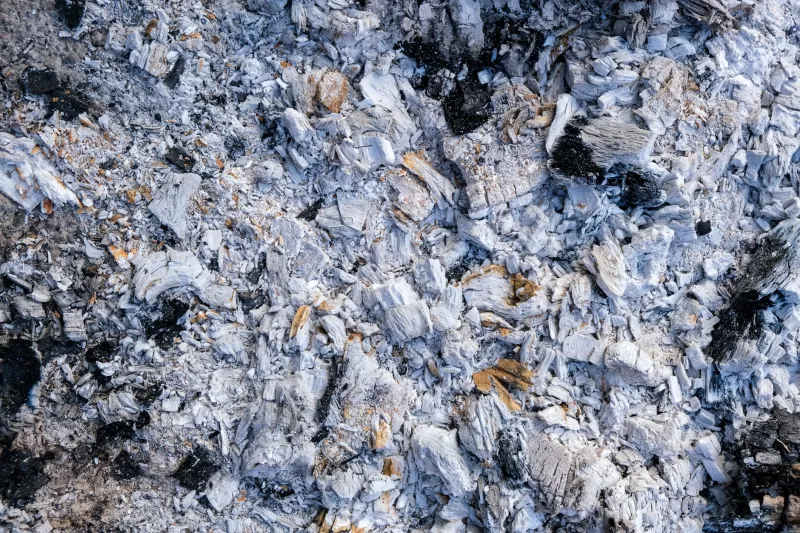 Fuel as Ingredient: How America's Most Ambitious Chefs Are Treating Charcoal Like a Spice