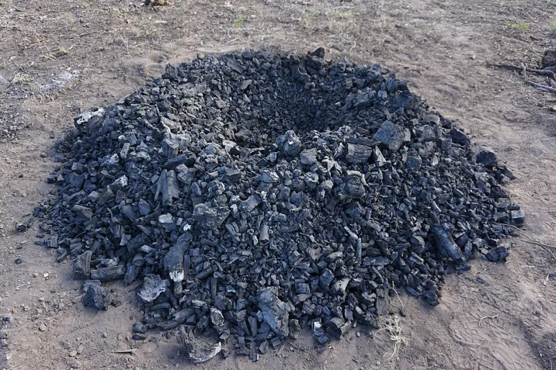 Rooted in Smoke: How American Chefs Are Sourcing Local Charcoal to Define a Sense of Place